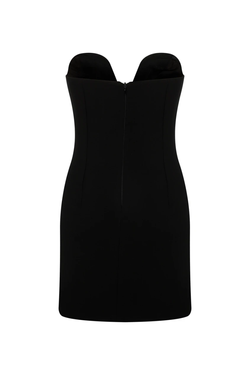 LOVER STRAPLESS MINI DRESS